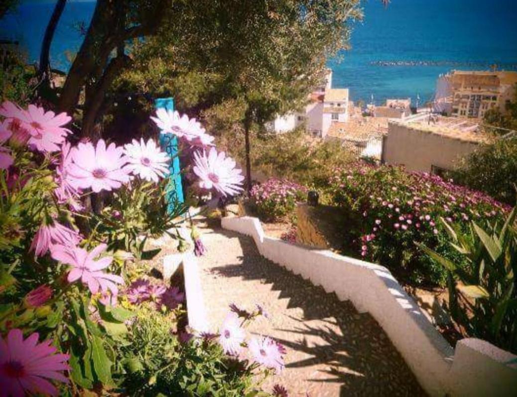 Summer Apartment & Beach Altea First Line Wifi Exteriör bild